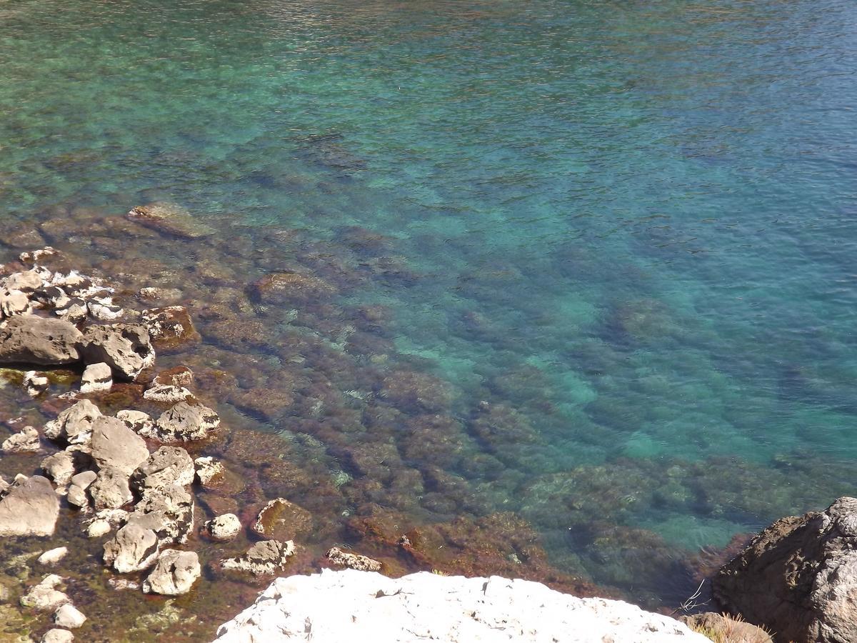 Le Cytharis La Ciotat Exterior foto