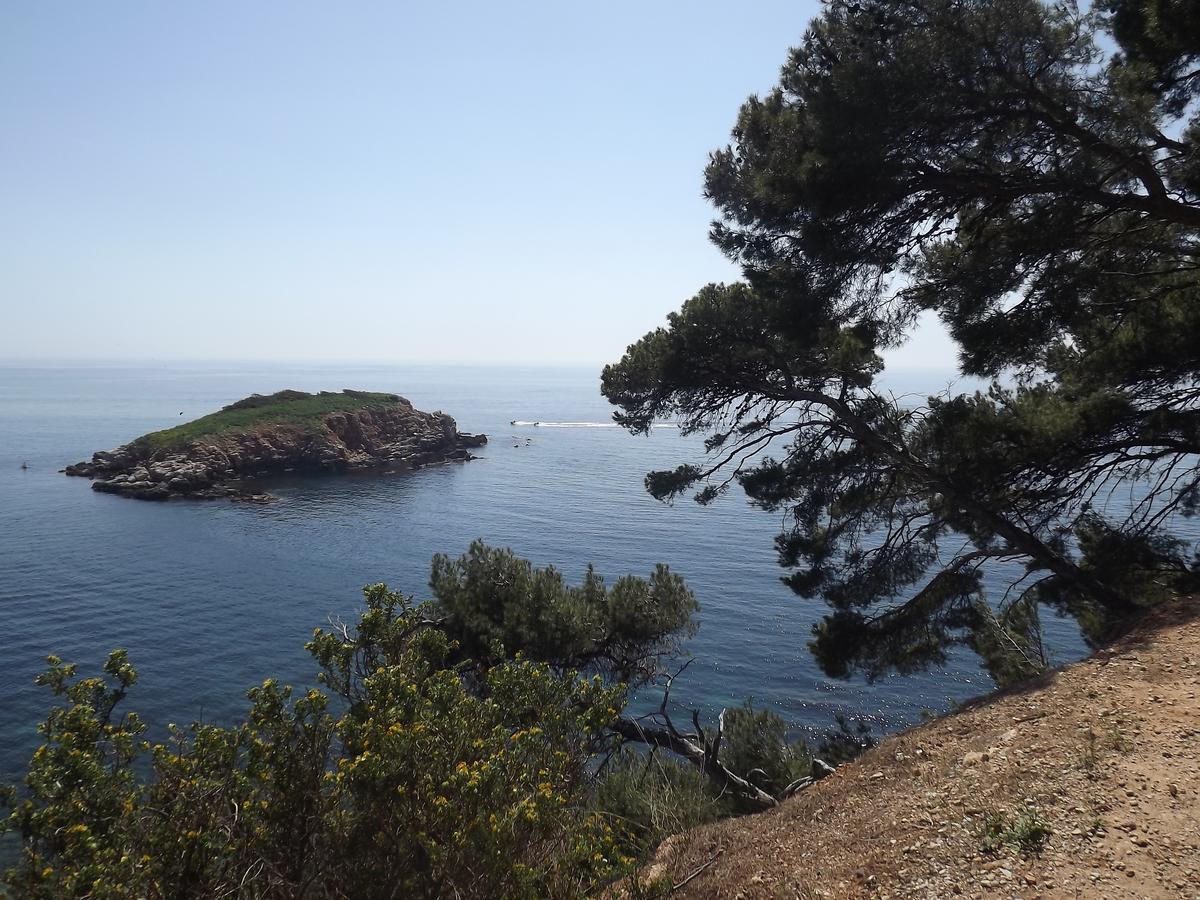 Le Cytharis La Ciotat Exterior foto