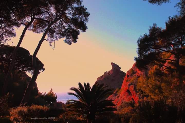 Le Cytharis La Ciotat Exterior foto